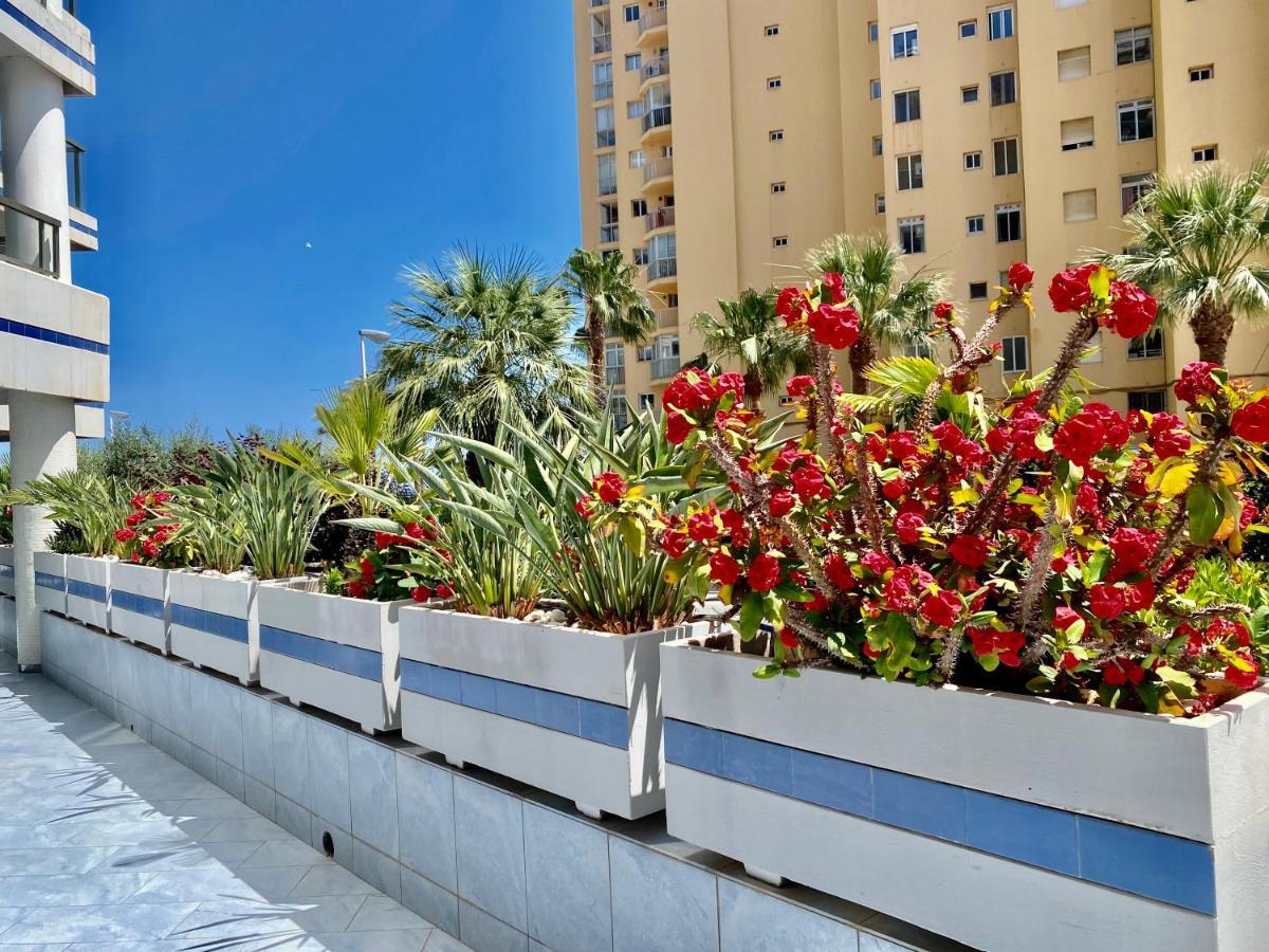 Calpe Hipocampo 25-A Διαμέρισμα Εξωτερικό φωτογραφία